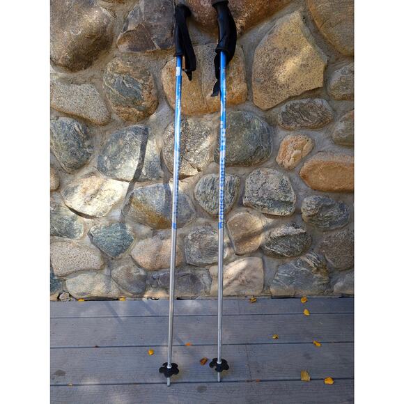Rossignol ski poles 120 48" - Picture 1 of 6